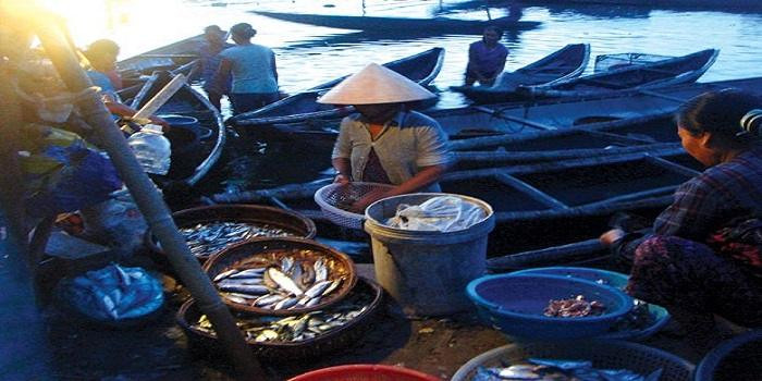 Phá Tam Giang đánh cá-compressed